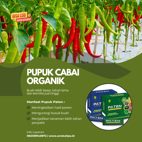 pupuk paten nano